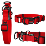 DOCO® DD Nylon Dog Collar.
