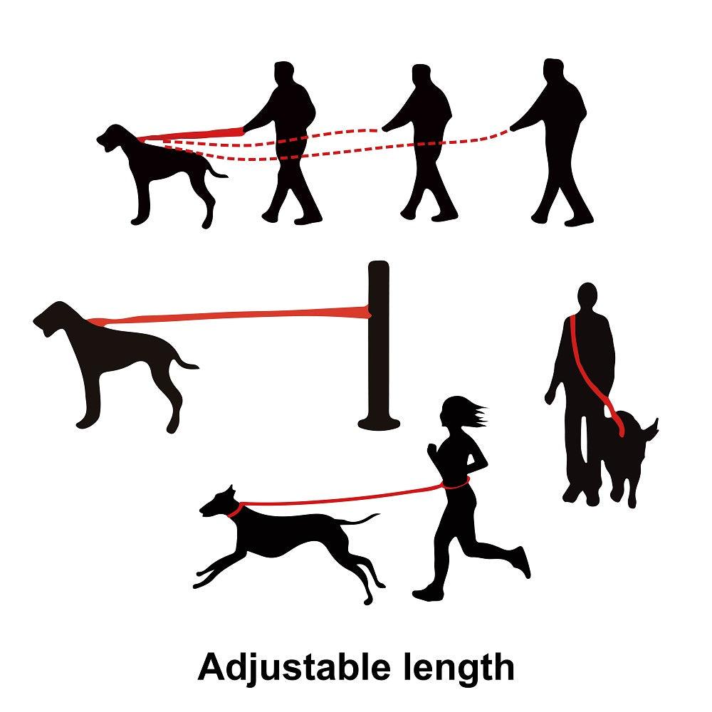 DOCO® Easy-Snap™ Multifunction Nylon Dog Leash.