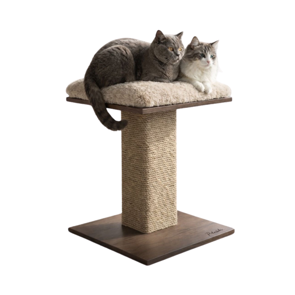 Two cats on a wooden cat tree with sisal-wrapped post against a white background