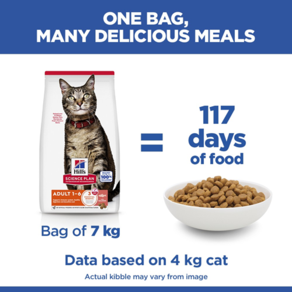 Hill's Science Plan Adult 1-6 Cat Food with Salmon Petfast.shop Hill's Cat Dry Food Food petfast.shop Egypt1.5Kg 1590.00