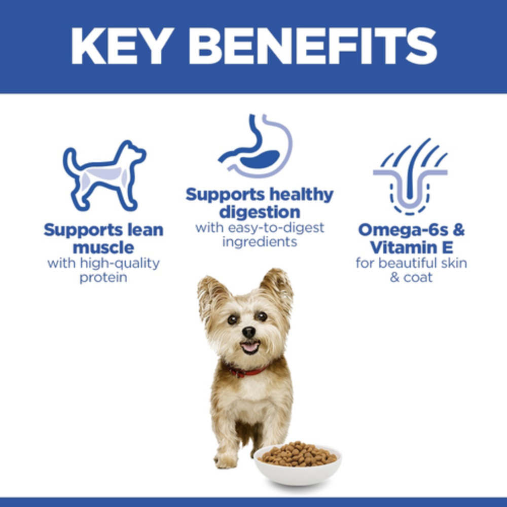 Hill's Science Plan Small & Mini Adult Dog Food with Chicken Petfast.shop Hill's Dog Dry Food Food petfast.shop Egypt1.5Kg 1040.00