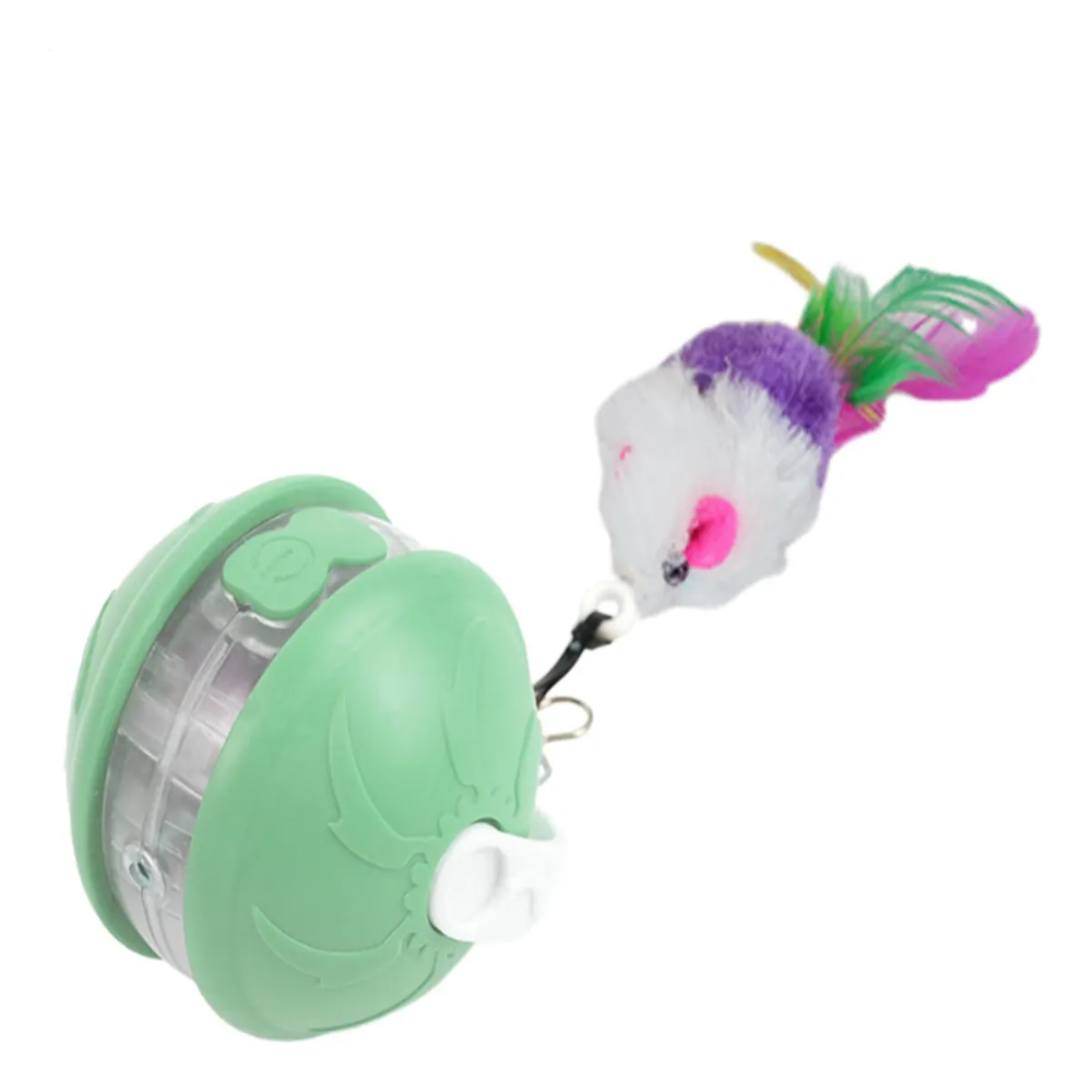 Green cat toy with a moving mouse-like figure on a white background