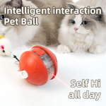 Cat playing with a red intelligent interaction pet ball on a white background
