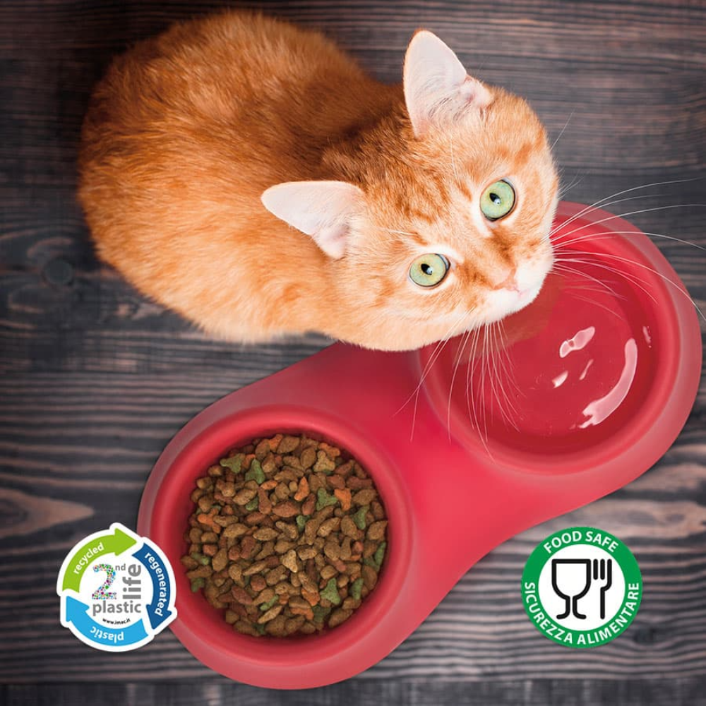 IMac Dea Double Bowl for Pet Petfast.shop IMac Bowls & Feeders Cat Dog Supplies petfast.shop EgyptBlue 450.00