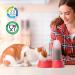 IMac Dea Food Dispenser for Pet Petfast.shop IMac Bowls & Feeders Cat Dog Supplies petfast.shop EgyptBlue / 1.5L (26*18.5*24 Cm) 800.00