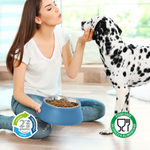 IMac Diva Double Bowl for Pet 0.4+0.4L (32.5*16.5*6.3 Cm) Petfast.shop IMac Bowls & Feeders Cat Dog Supplies petfast.shop EgyptBlue 450.00