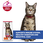 Hill's Science Plan Adult 1-6 Cat Food with Salmon Petfast.shop Hill's Cat Dry Food Food petfast.shop Egypt1.5Kg 1590.00