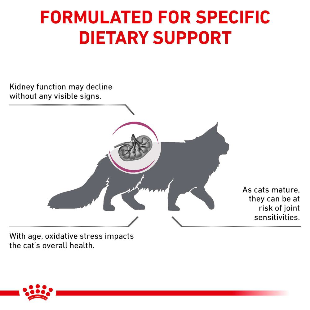 Royal Canin Early Renal All Breeds Adult Cat Food 1.5kg.