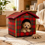Petmoda Christmas Dream House