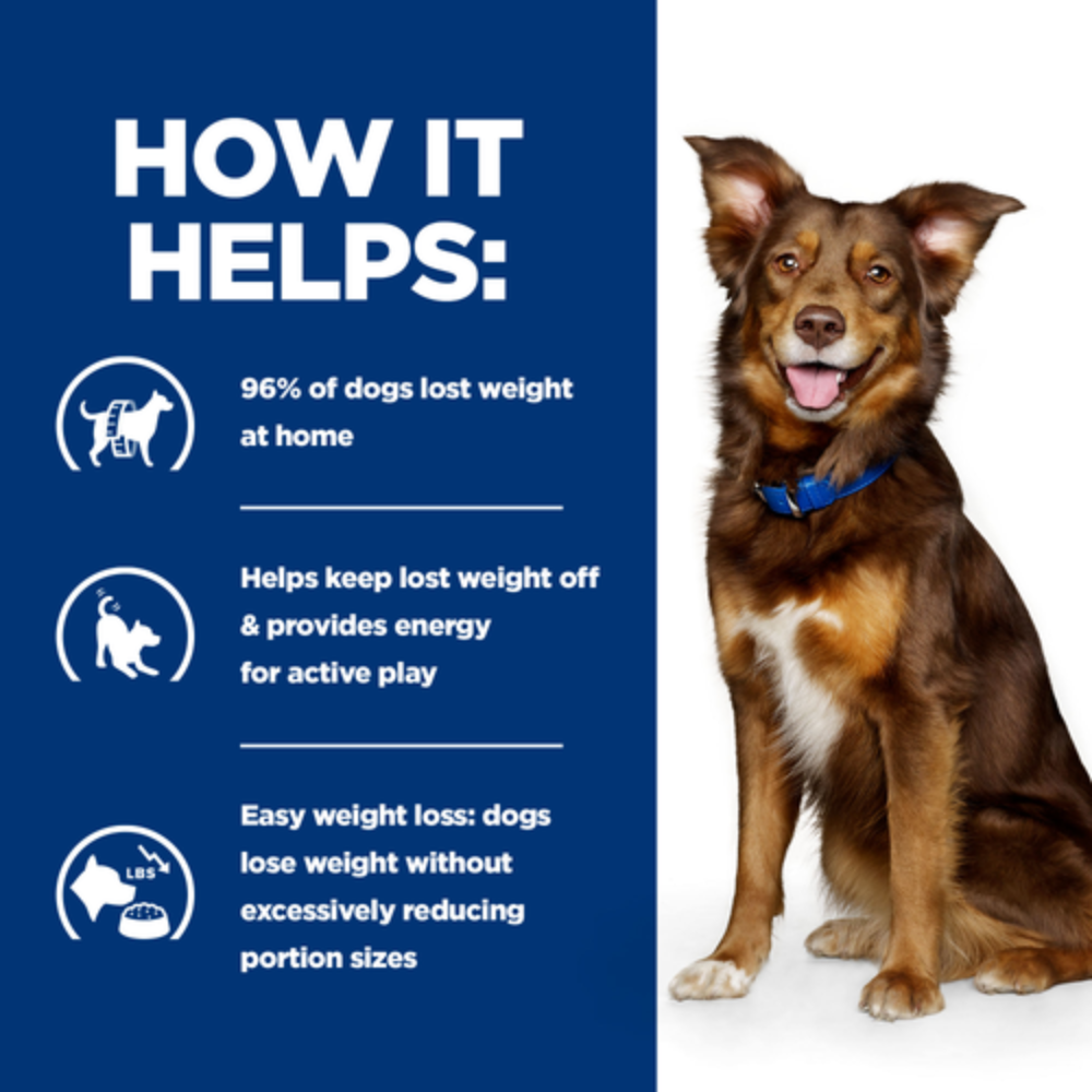 Hill's Prescription Diet Metabolic Wight Loss & Maintenance Dog Food with Chicken 4Kg Petfast.shop Hill's Dog Dry Food Food petfast.shop EgyptDefault Title 3640.00