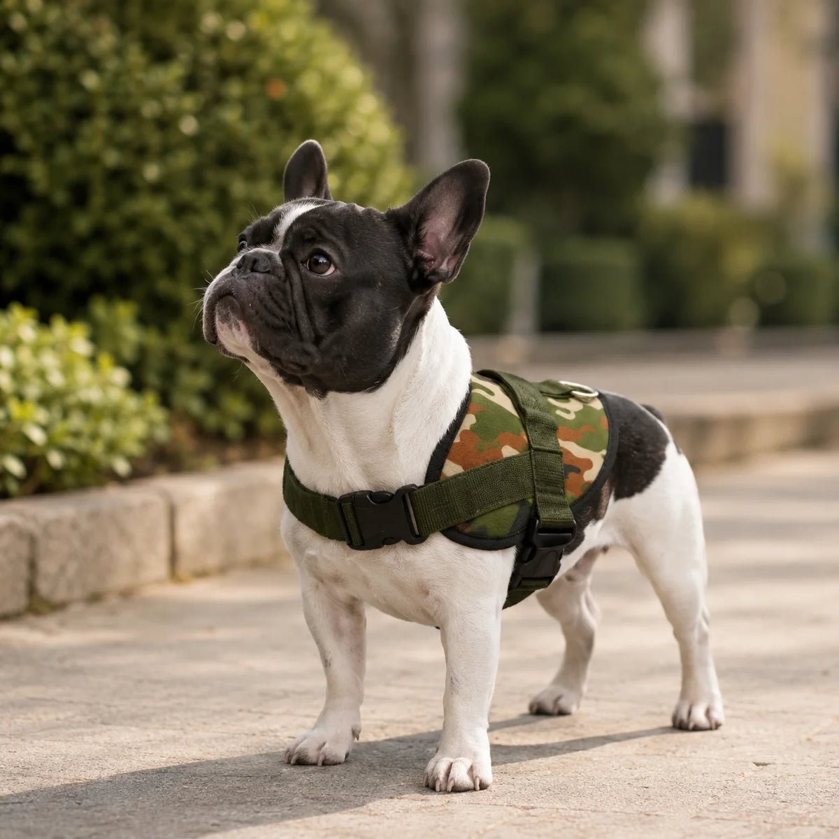 Petmoda Harness Military Style