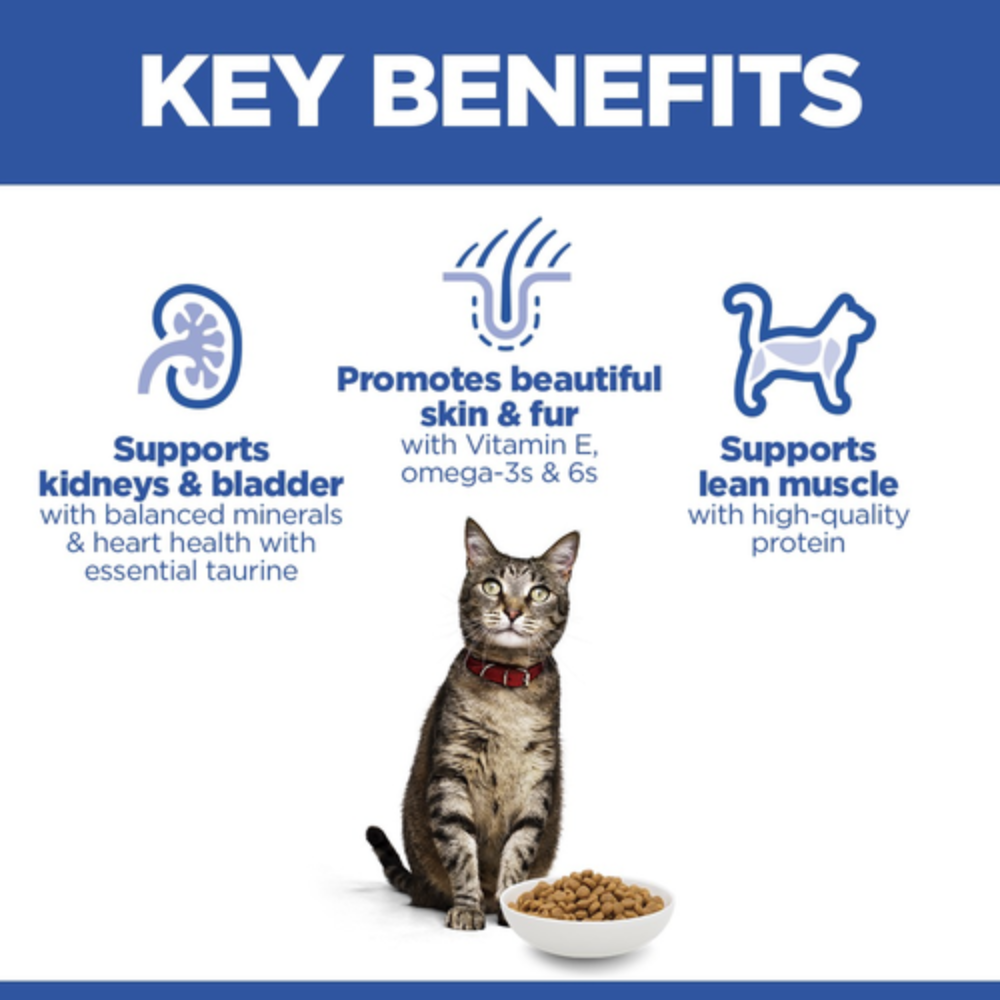 Hill's Science Plan Adult 1-6 Cat Food with Salmon Petfast.shop Hill's Cat Dry Food Food petfast.shop Egypt1.5Kg 1590.00
