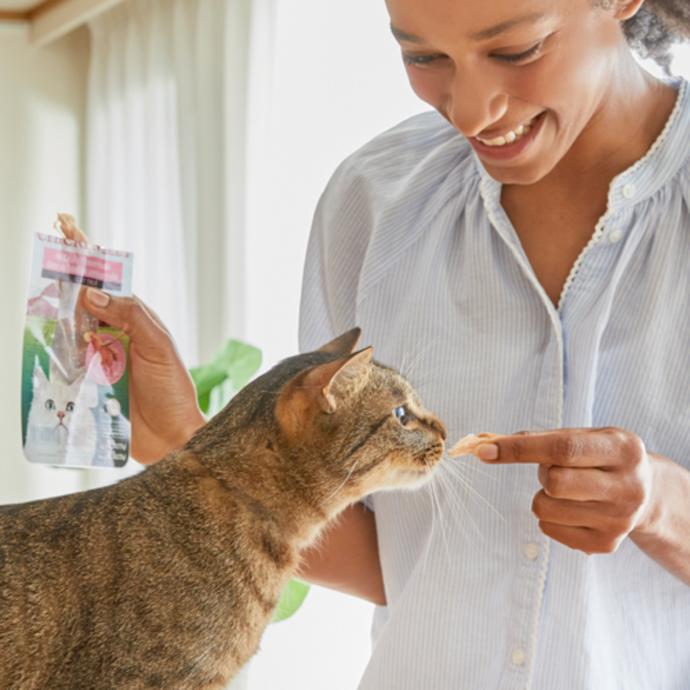 Woman interacting with a cat using a product, with a blurred background