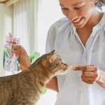 Woman interacting with a cat using a product, with a blurred background