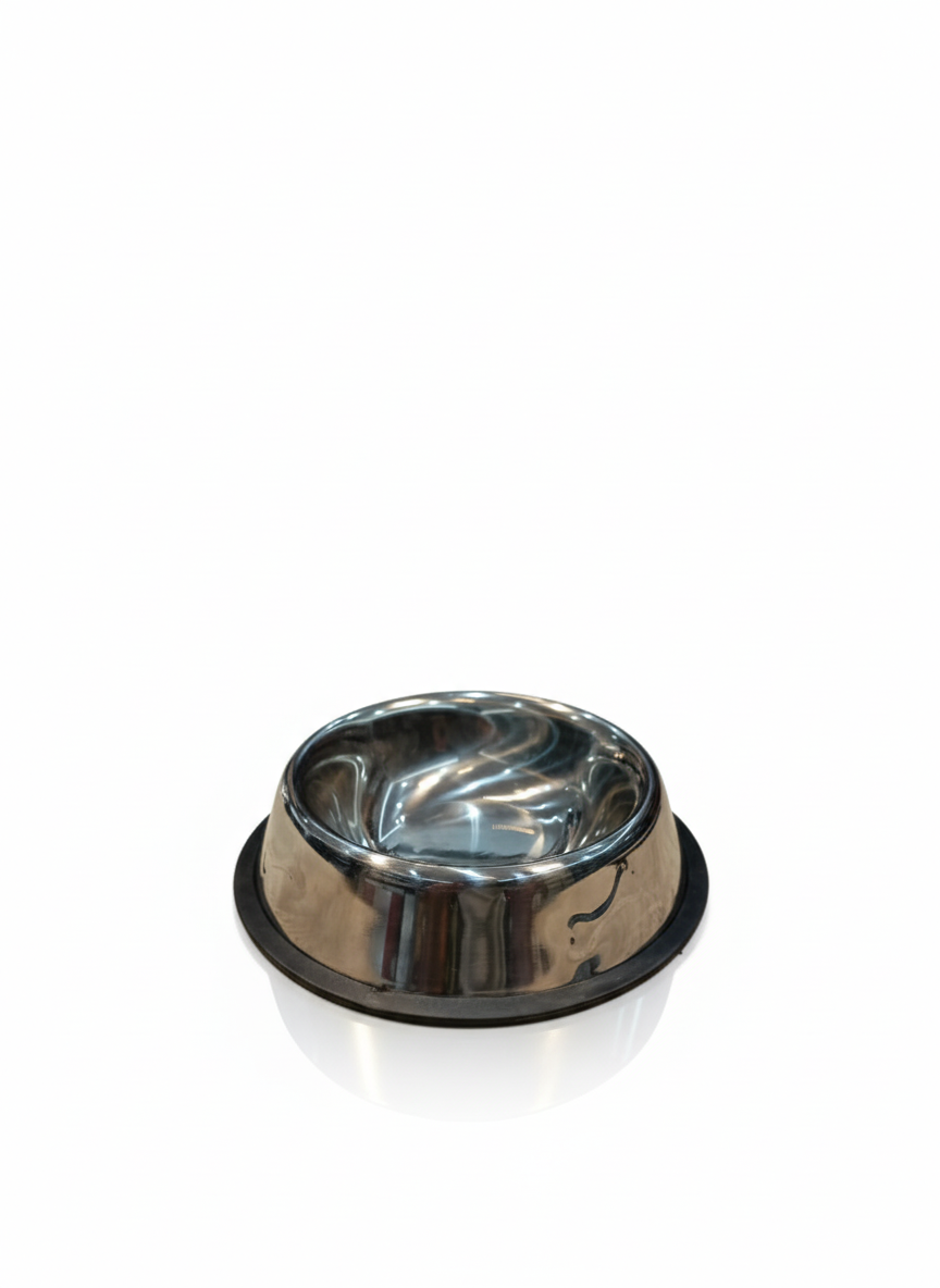 Stainless Steel Bowl for Kittens and Small Dogs.