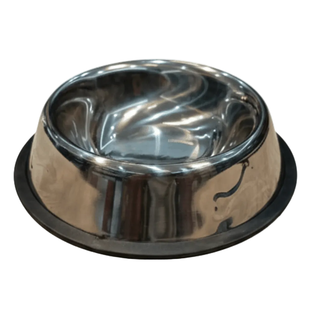 Stainless Steel Bowl for Kittens and Small Dogs Petfast.shop Generic Bowls & Feeders Cat Dog Kitten Puppy Supplies petfast.shop Egypt PST3043S Default Title 60.00