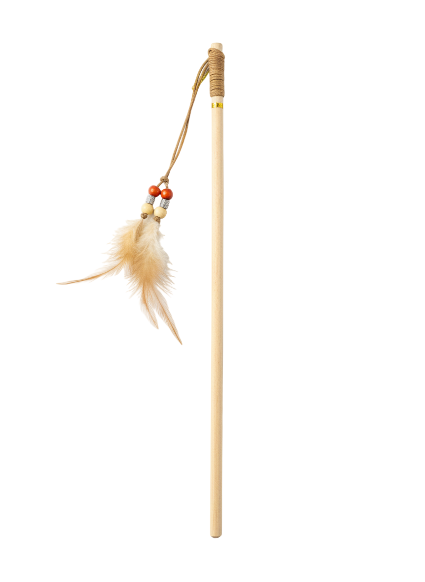 Hook Feather With Ring Cat Toy.