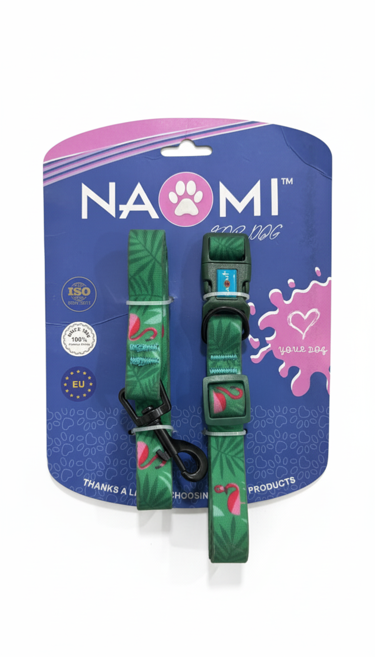 Naomi Collar & Leash Size M.