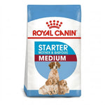 Royal Dog Medium Starter Mother & Baby Dog 4 Kg Petfast.shop Royal Canin Dog Dry Food Food petfast.shop EgyptDefault Title 2990.00