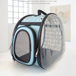 Pet Carrier Package for Cats and Small Dogs Blue.