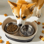 Dog drinking water from a dual-bowl pet feeder with kibble on a light surface.
