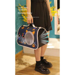 Person holding a pet carrier with colorful design against a blue wall.