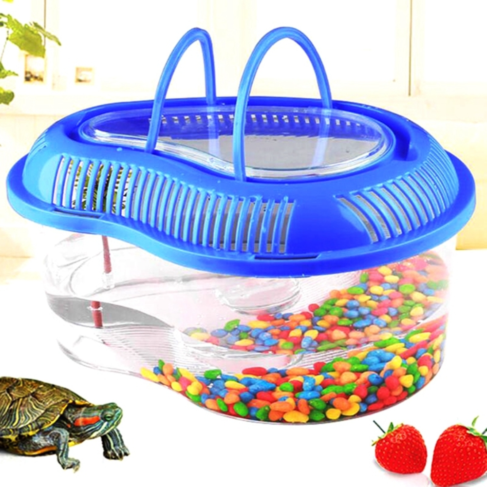 Turtles Plastic Tank Petfast.shop Generic Exclusive Small pet petfast.shop EgyptSmall / Green 150.00
