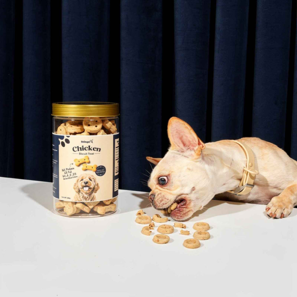 Dog eating treats next to a container of dog food on a white surface with a dark curtain background