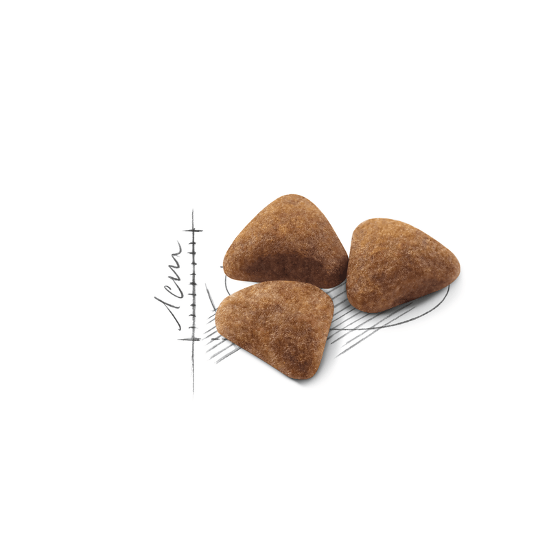 Royal Canin Indoor 27 All Breeds Adult Cat Food.