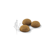 Royal Canin Indoor Long-Hair Adult Cat Food.