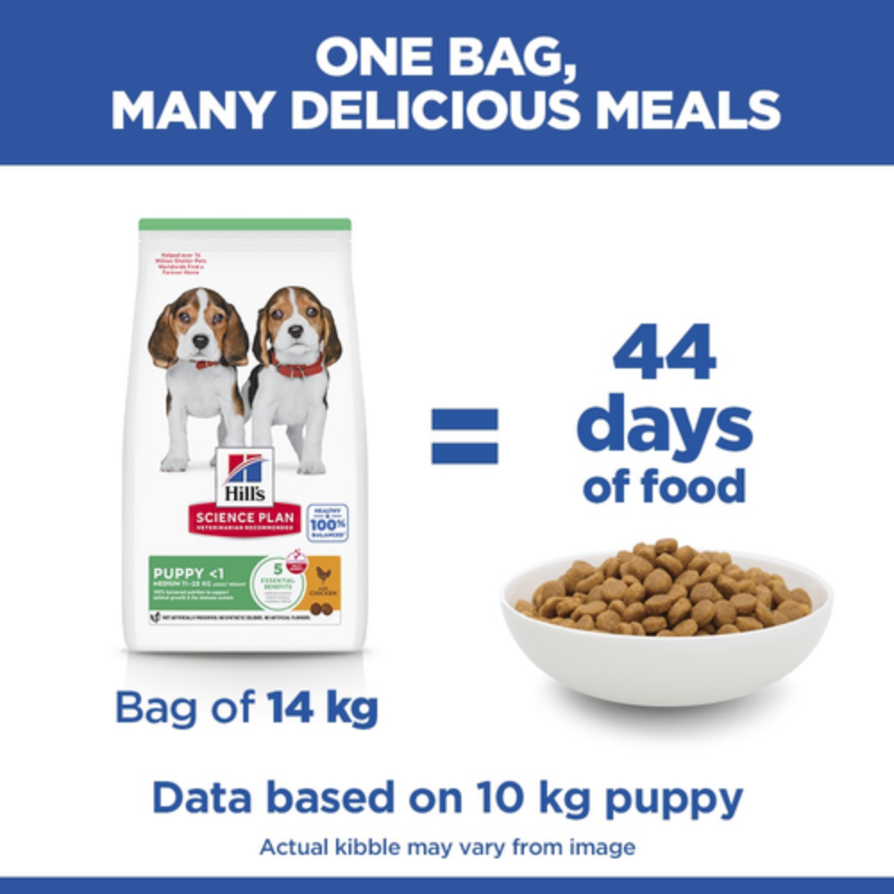 Hill's Science Plan Medium Breed Puppy Food with Chicken Petfast.shop Hill's Dog Dry Food Food petfast.shop Egypt2.5Kg 1700.00