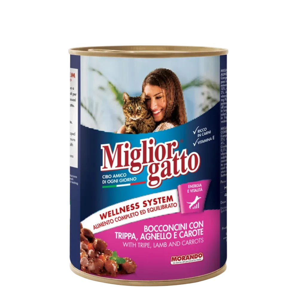 Can of Miglior Gatto cat food with a woman and cat on the label