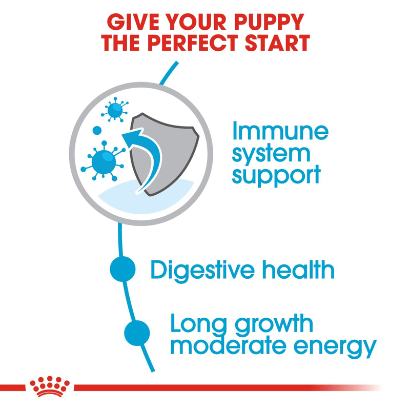 Royal Canin Maxi Large Breed Puppy Food.