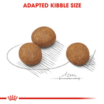 Royal Canin Maxi Large Breed Puppy Food.