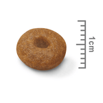 Royal Canin Maxi Starter Large Breed Mother & Babydog Food.