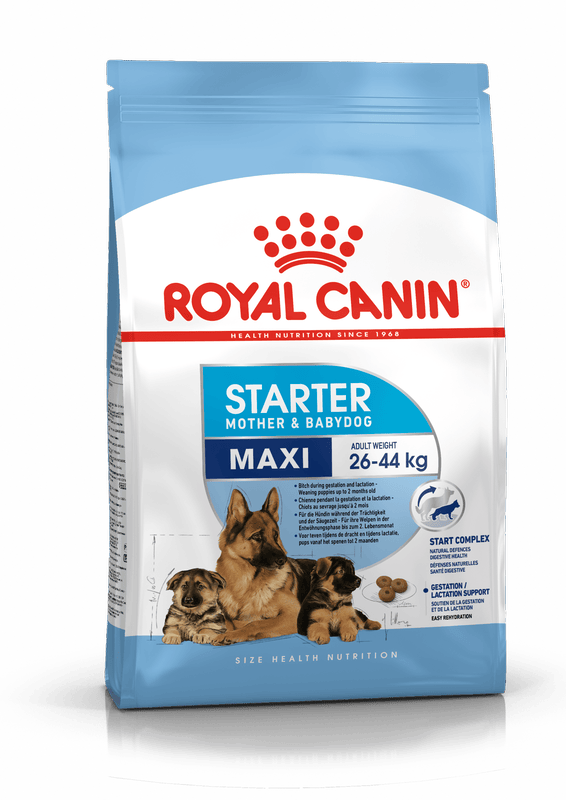 Royal Canin Maxi Starter Large Breed Mother & Babydog Food.