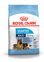 Royal Canin Maxi Starter Large Breed Mother & Babydog Food.