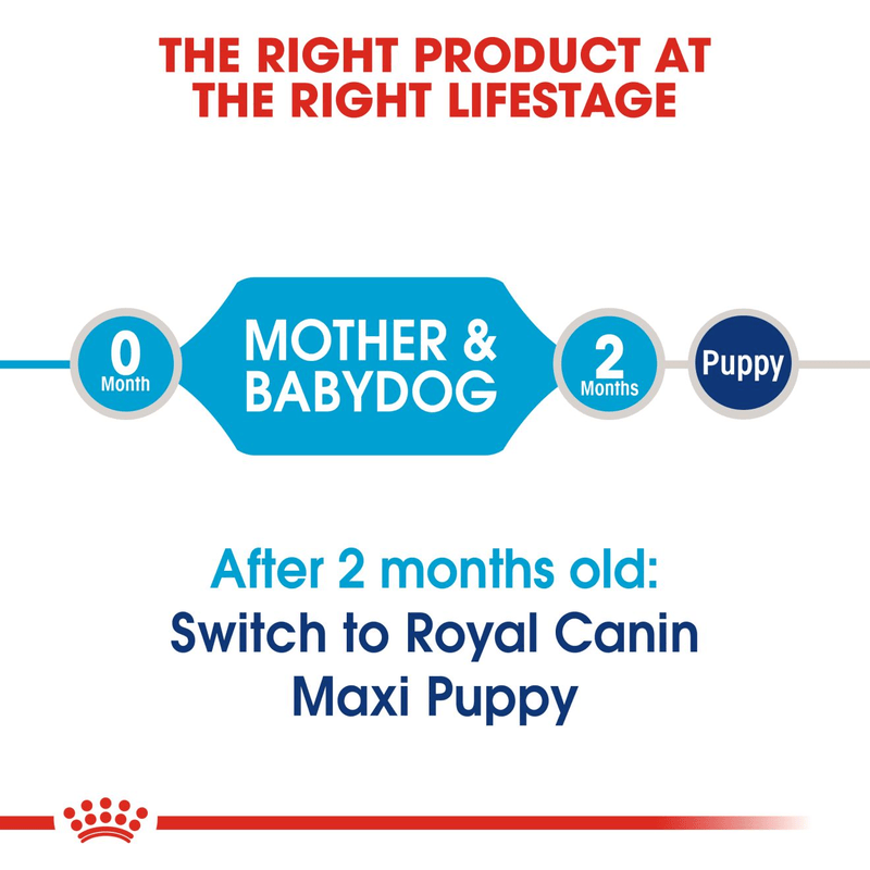 Royal Canin Maxi Starter Large Breed Mother & Babydog Food.