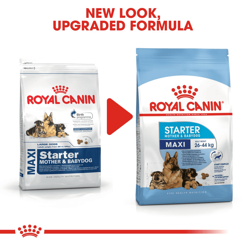 Royal Canin Maxi Starter Large Breed Mother & Babydog Food.