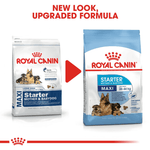 Royal Canin Maxi Starter Large Breed Mother & Babydog Food.