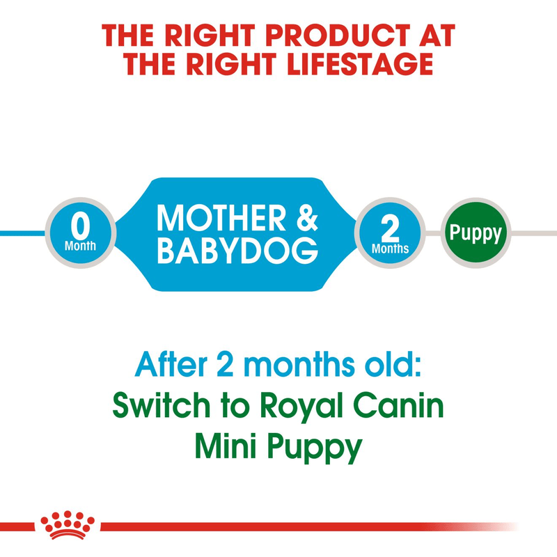 Royal Canin Mini Starter Small Breed Mother & Babydog Food 1kg.