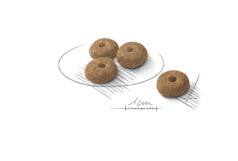 Royal Canin Mini Sterilised Small Breed Adult Dog Food.