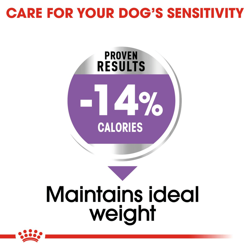 Royal Canin Mini Sterilised Small Breed Adult Dog Food.