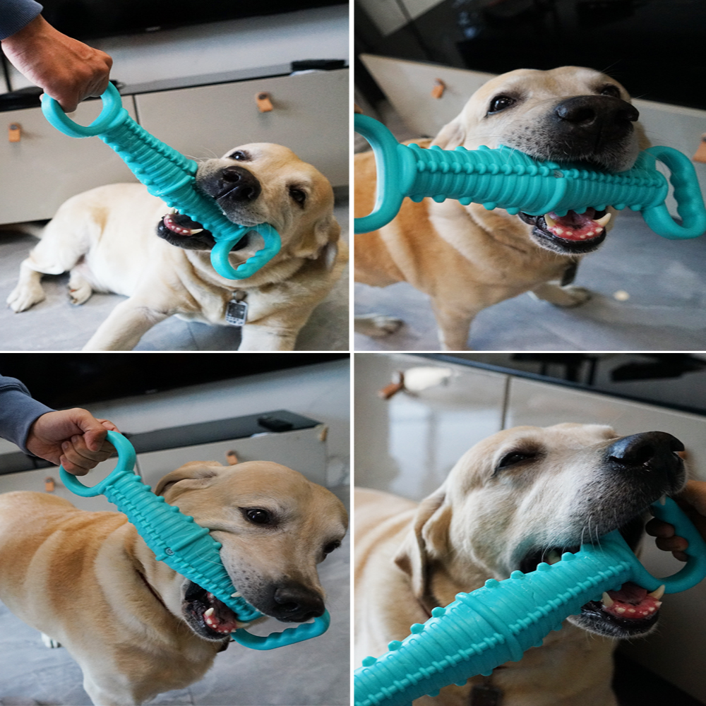 Senye Dog Dumbbell Toy Petfast.shop Senye Dog Supplies Toys petfast.shop EgyptGray 675.00