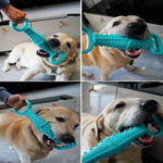 Senye Dog Dumbbell Toy Petfast.shop Senye Dog Supplies Toys petfast.shop EgyptGray 675.00