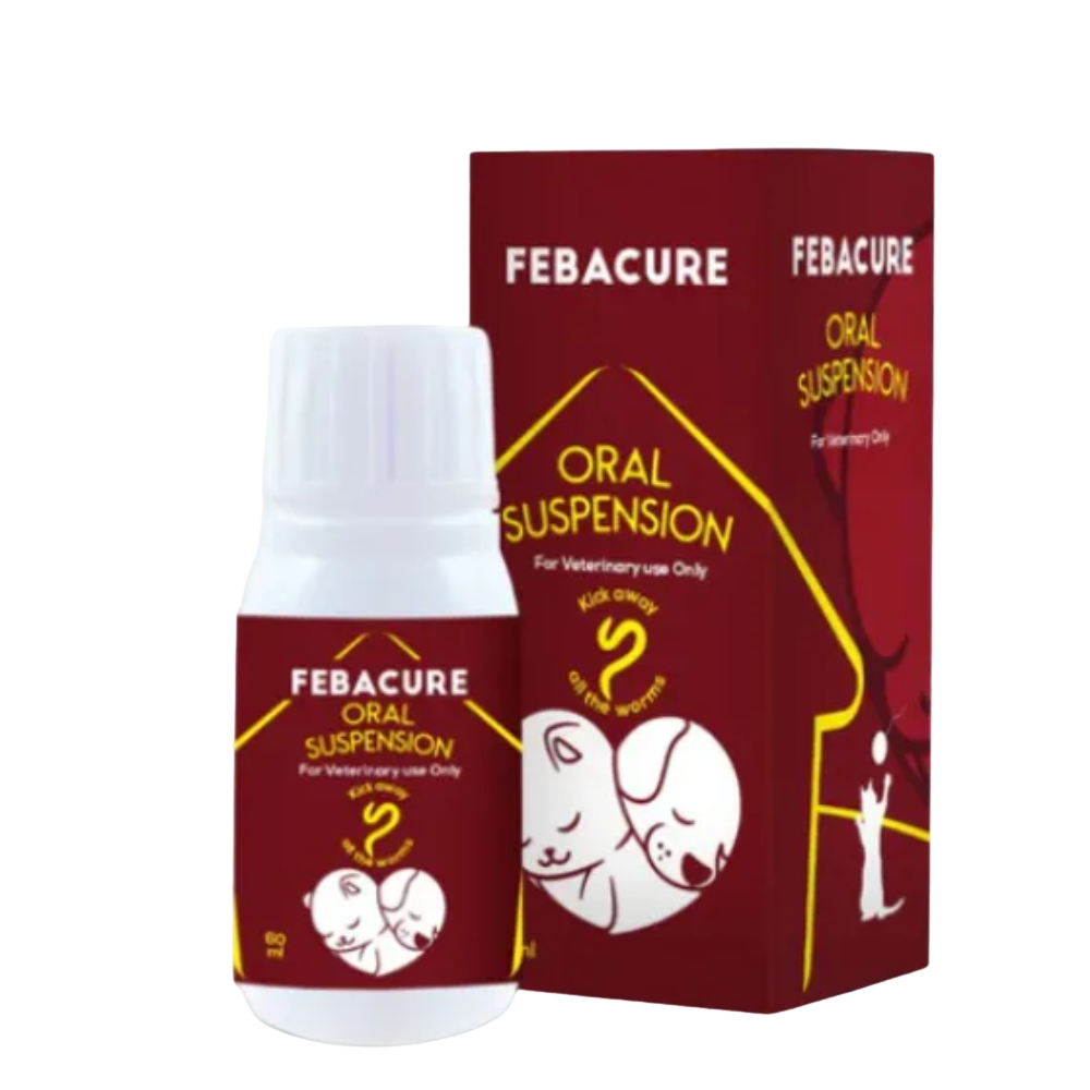 Febacure oral suspension bottle and packaging on a white background