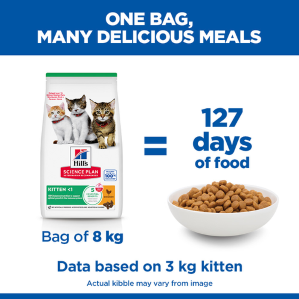 Hill's Science Plan Kitten Food with Chicken Petfast.shop Hill's Cat Dry Food Food Kitten petfast.shop Egypt300g 450.00