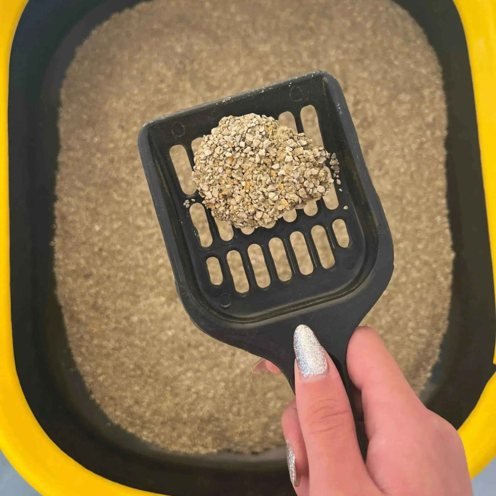 Black scoop with cat litter above a yellow and black litter box