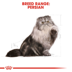 Royal Canin Persian Adult Cat Food.