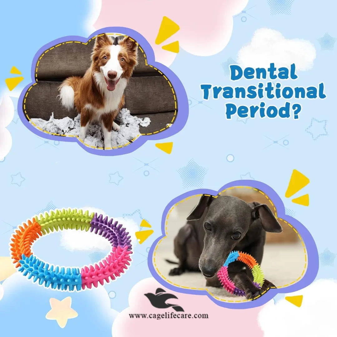 Dog Chew Ring Toy